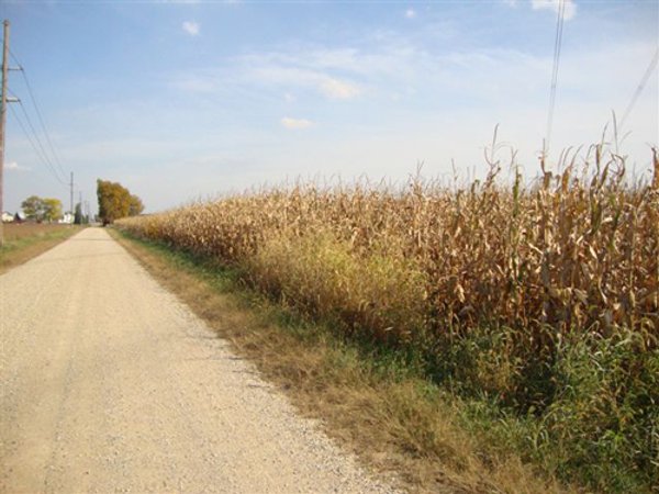 145+/- Acres Offered in 6 Tracts Real Estate Auction